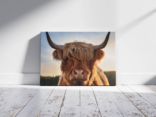 Wool & Wild – Cow of the Highlands: Hairy Cow Print - Rustic Farmhouse Decor