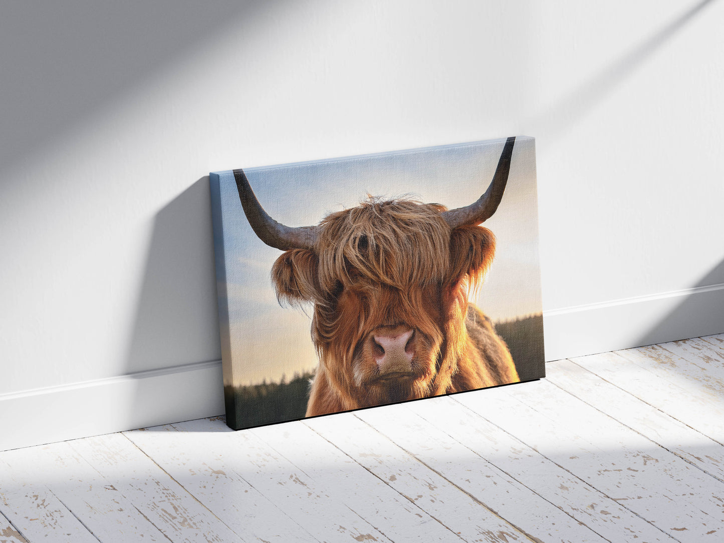 Wool & Wild – Cow of the Highlands: Hairy Cow Print - Rustic Farmhouse Decor