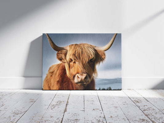 Windswept Majesty – Highland Calm: Highland Cow Art - Scottish Farm Animal