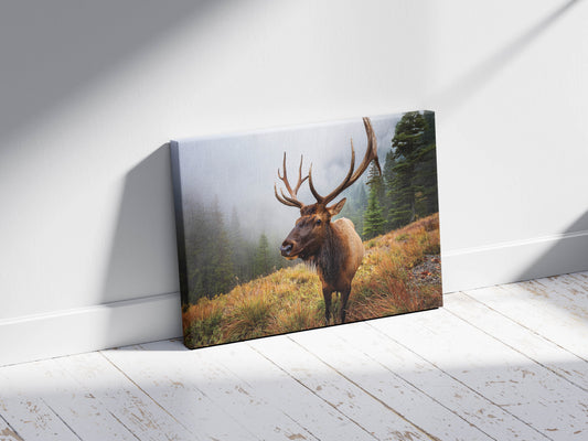 Antler Majesty – Misty Morning Elk: Cascade Elk Art - Mountain Animal Print