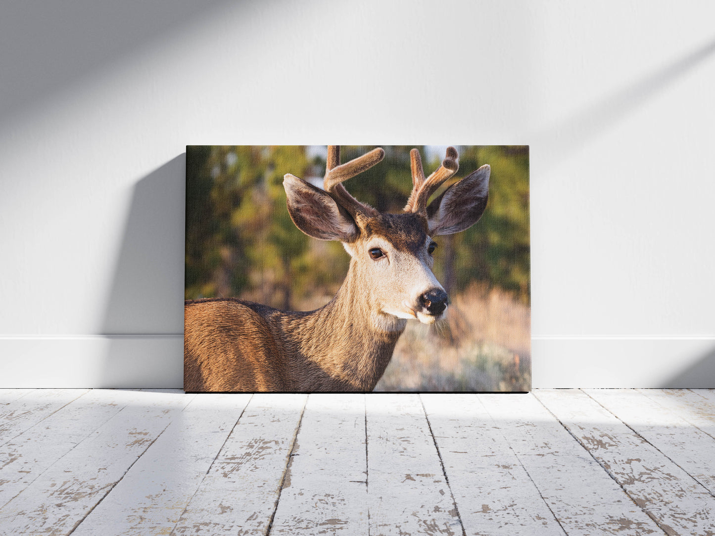 Peaceful Stag โ Meadow Watcher: Mule Deer Art - Gentle Animal Portrait