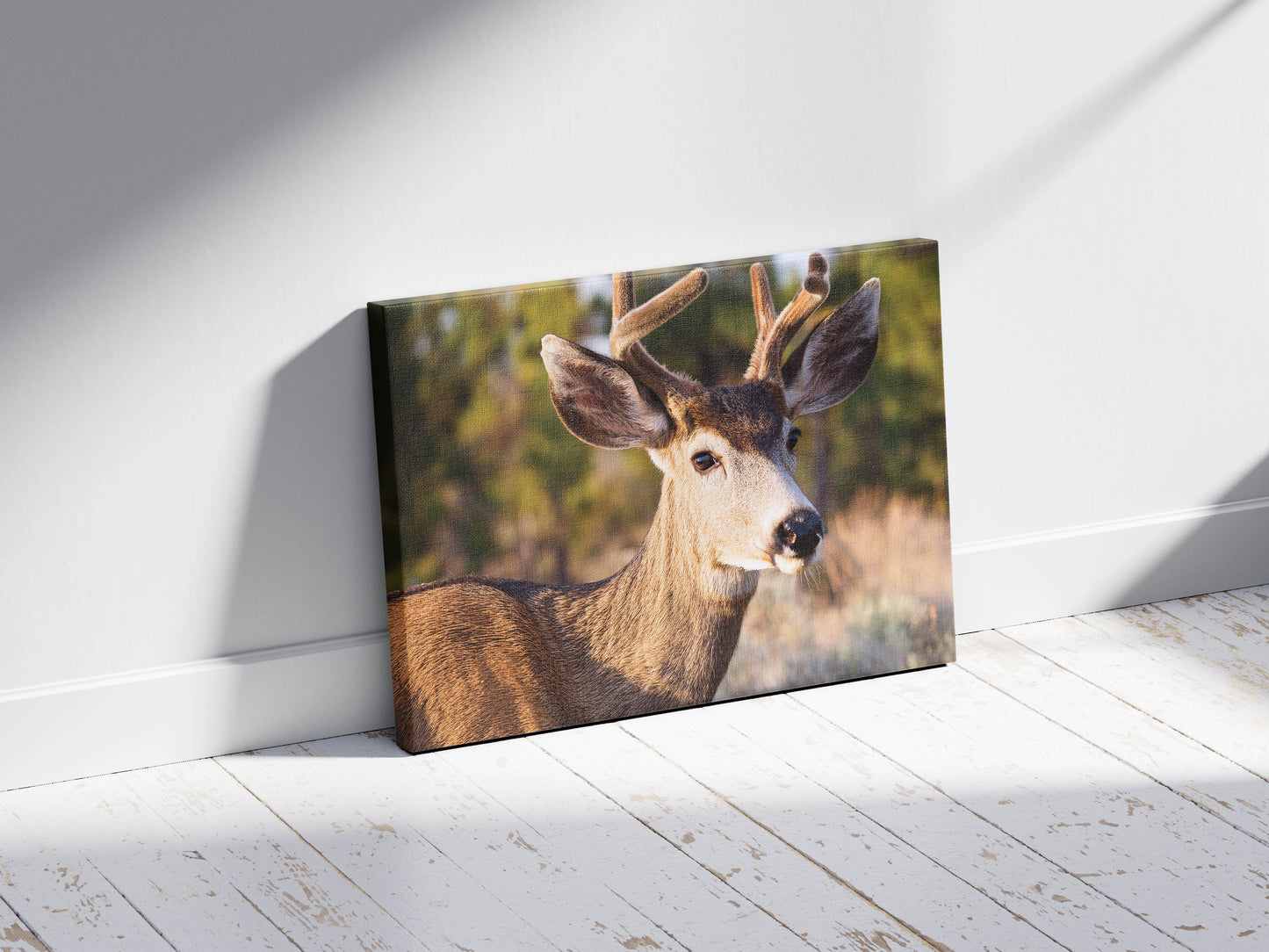 Peaceful Stag โ Meadow Watcher: Mule Deer Art - Gentle Animal Portrait
