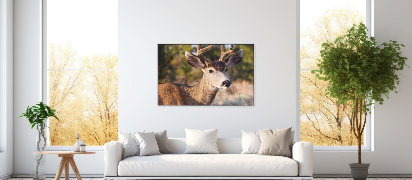 Peaceful Stag โ Meadow Watcher: Mule Deer Art - Gentle Animal Portrait