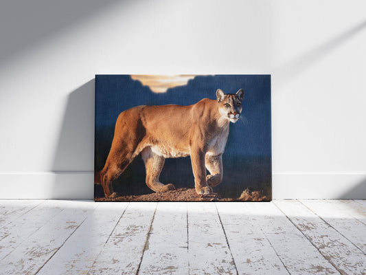 Wild Grace – Cougar in Motion: Cougar Decor - Wildlife Wall Art