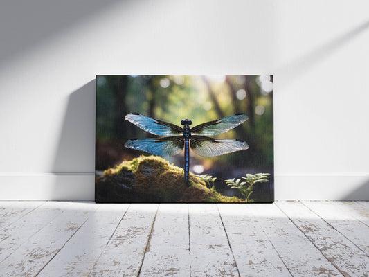 Sky Dancer – Nature’s Jewel: