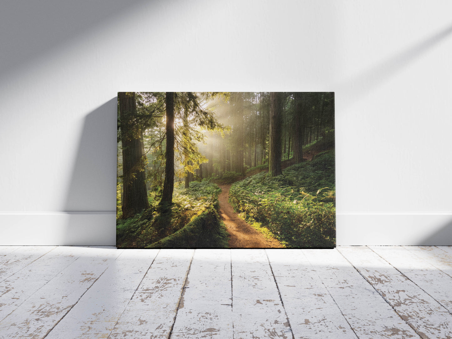 Golden Trail โ Serene Forest Print
