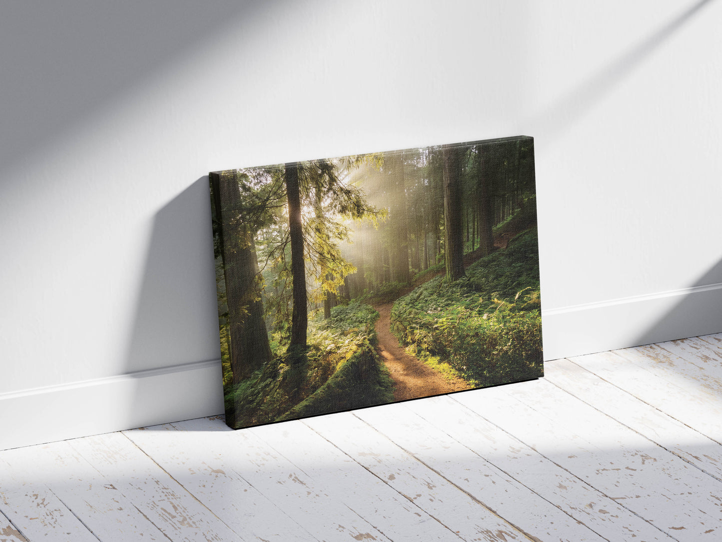 Golden Trail โ Serene Forest Print