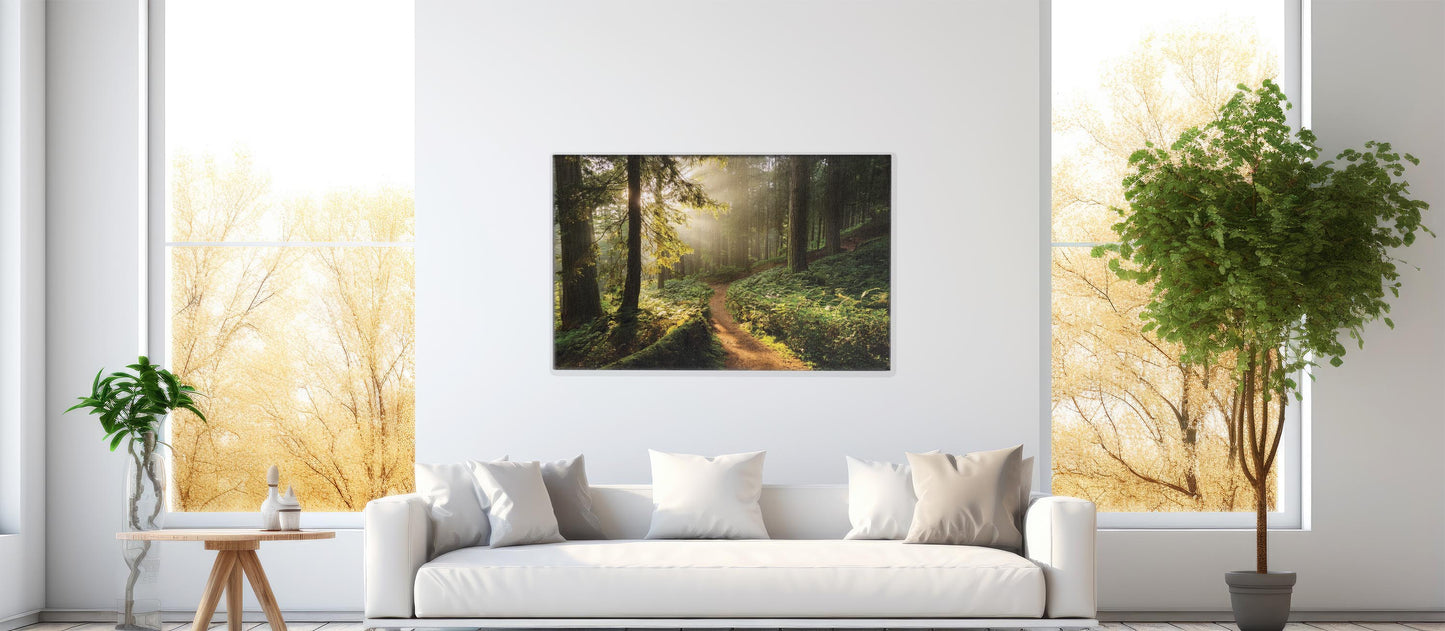 Golden Trail โ Serene Forest Print