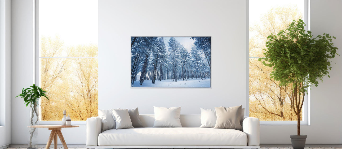 Winter Walk – Peaceful Forest Scene