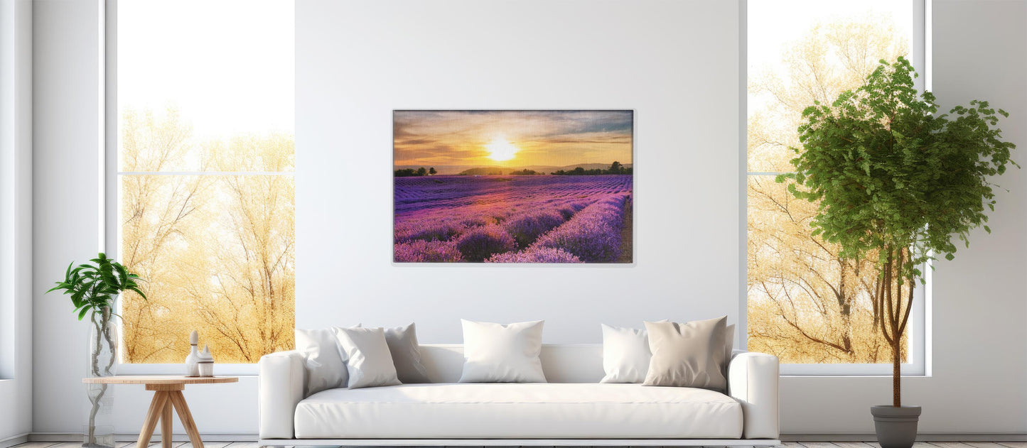French Bloom – Purple Fields of Calm