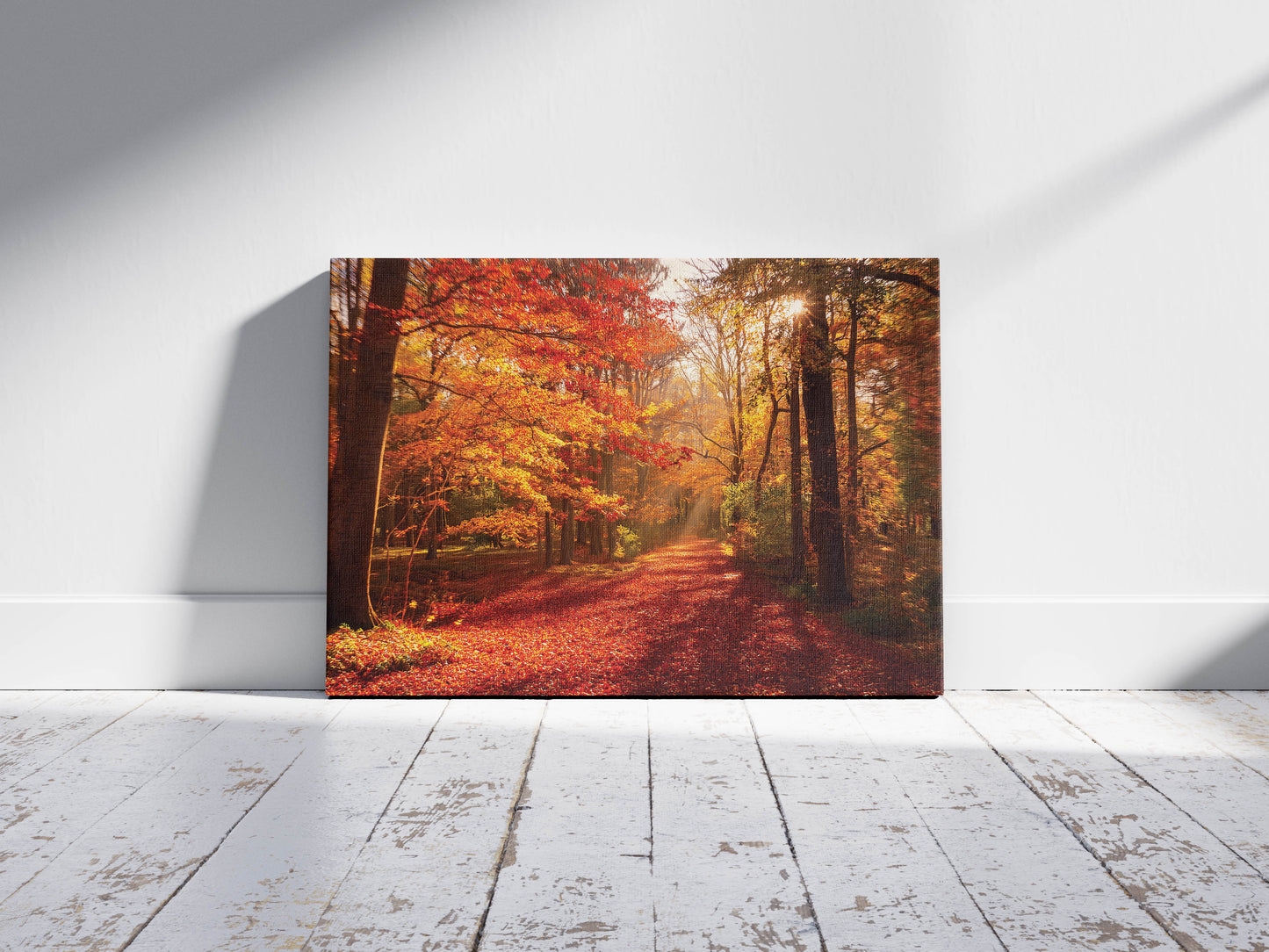 Golden Canopy โ Fall Leaves Print