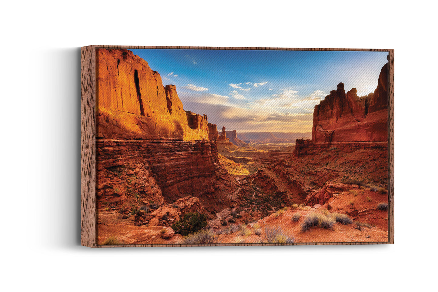 Canyon Light โ Desert Landscape Wall Art