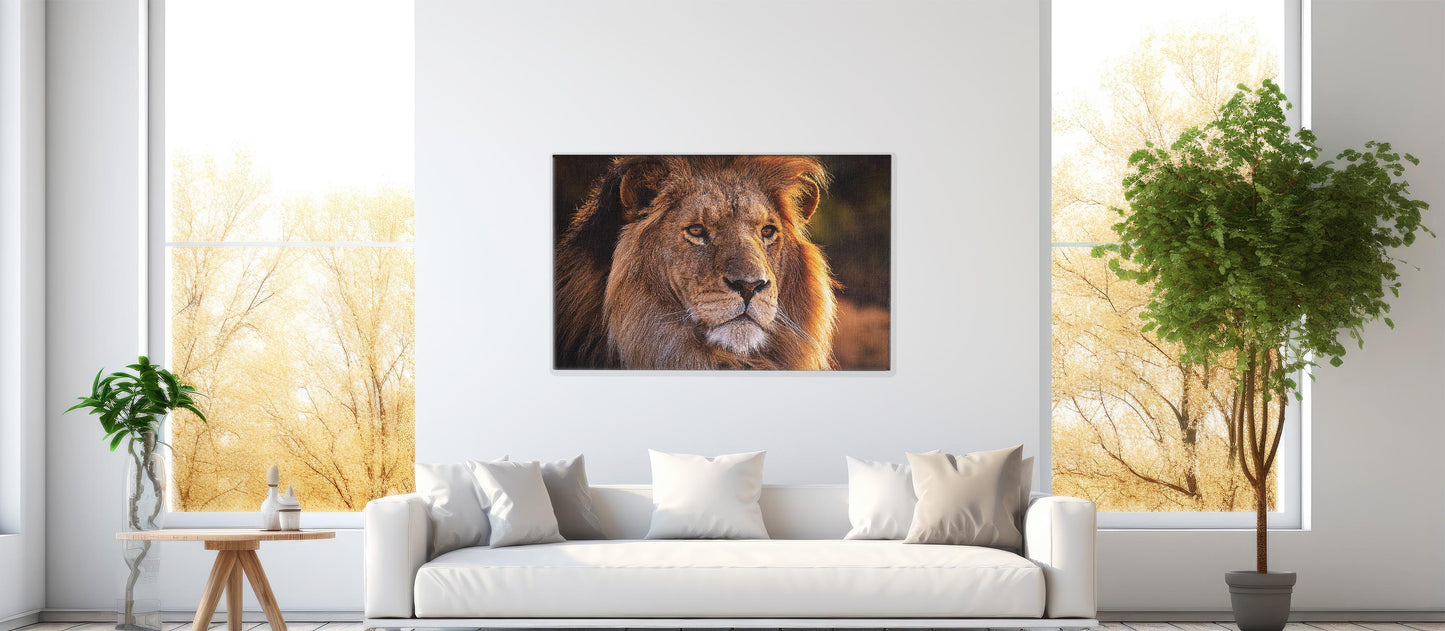 Wild Spirit – Regal Lion Portrait