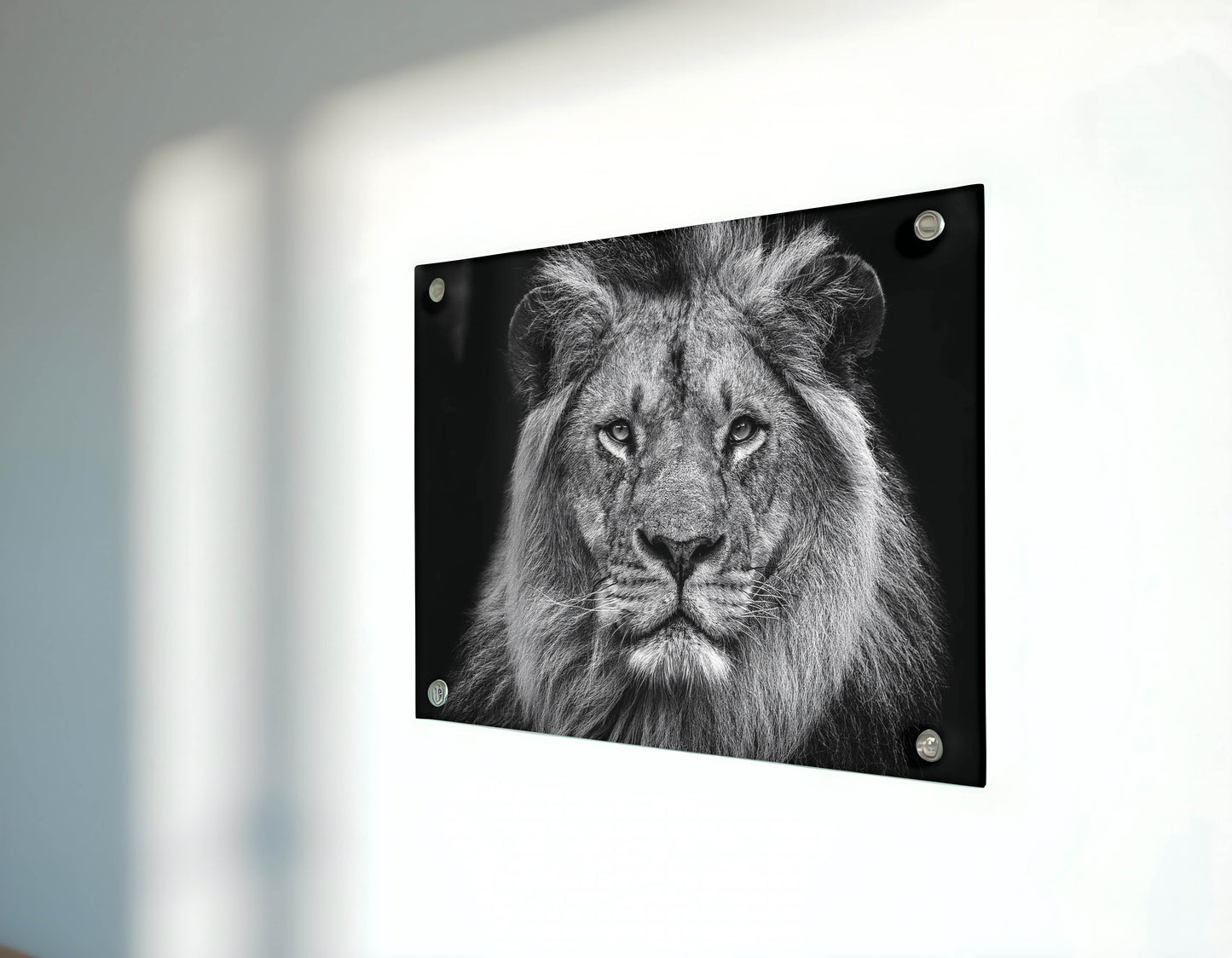 Majestic Mane Marvel – The King of the Wild in Stunning Detail