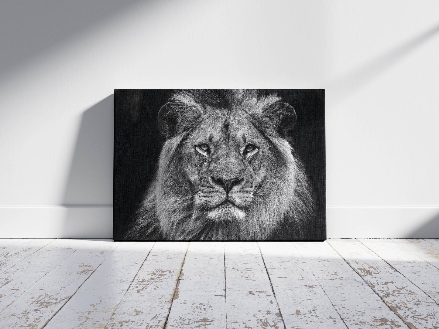 Majestic Mane Marvel – The King of the Wild in Stunning Detail