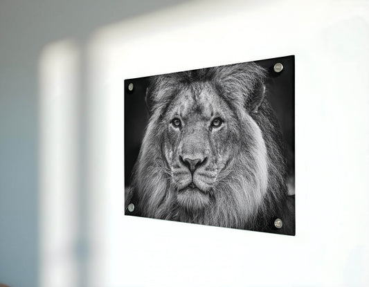 Majestic Roar - Unleash the Power and Elegance of the King of the Jungle