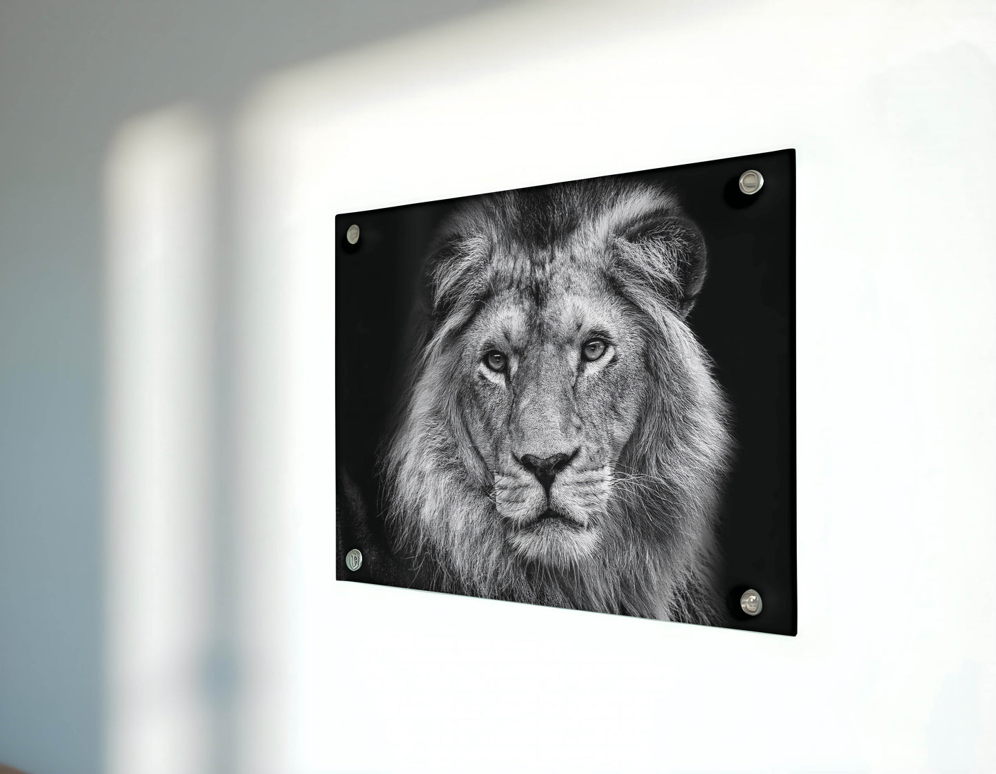 Majestic Lion King – Command Your Space with Power and Elegance