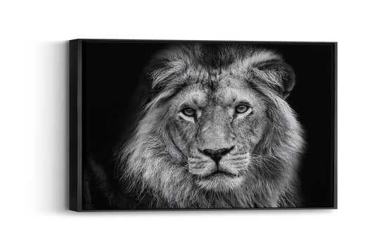 Majestic Lion King – Command Your Space with Power and Elegance