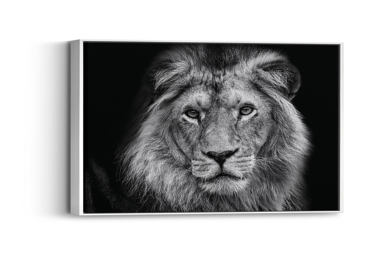 Majestic Lion King – Command Your Space with Power and Elegance