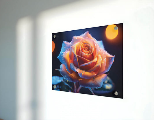 Radiant Rose Adventure – Elegance and Serenity Captured in Bloom