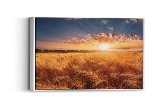 Golden Horizon – A Breathtaking Sunset Over a Golden Wheat Field