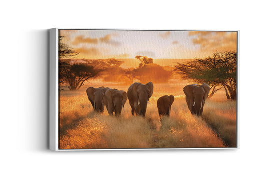 Elephant Parade – A Majestic Journey Through the Golden Savannah