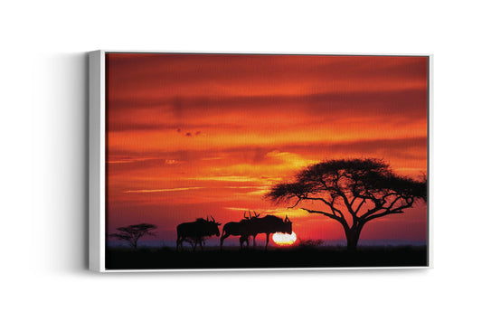 African Safari Sunset – Transform Your Space with the Breathtaking Beauty of Africa