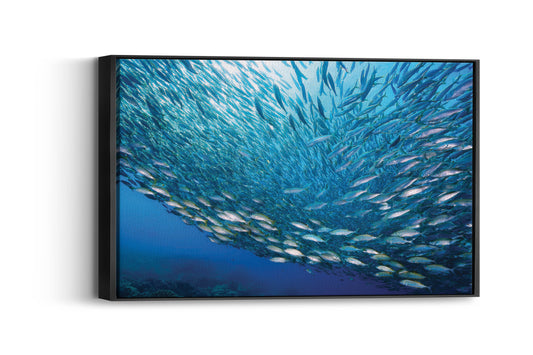 Ocean School Serenity – Breathe Life Into Your Walls With Tranquil Ocean Blues