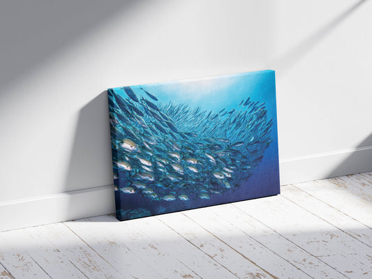 Ocean School Harmony