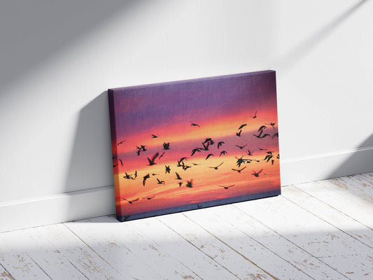 Birds- Twilight Flight - A Breathtaking Sunset, A Moment of Freedom – Captured Forever