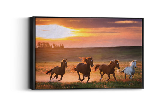 Handsome Horses- Sunset Gallop Symphony