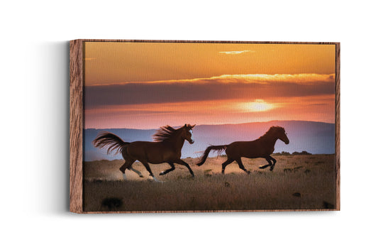 Handsome Horses- Sunset Gallop Adventure