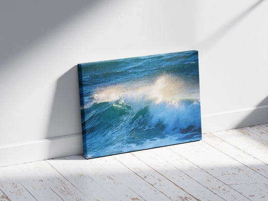 Ocean's Whimsy- Splash of Adventure