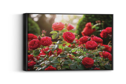 Blooms of Wonderland- Vibrant Red Rose