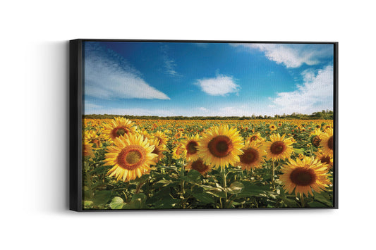 Sunflower Symphony- Sunshine Whimsy