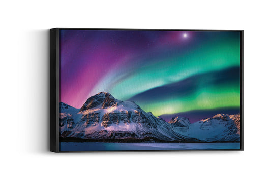 Aurora Adventure- Arctic Night Whispers