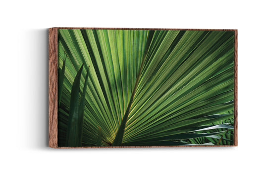 Jungle Radiance- Palm Burst