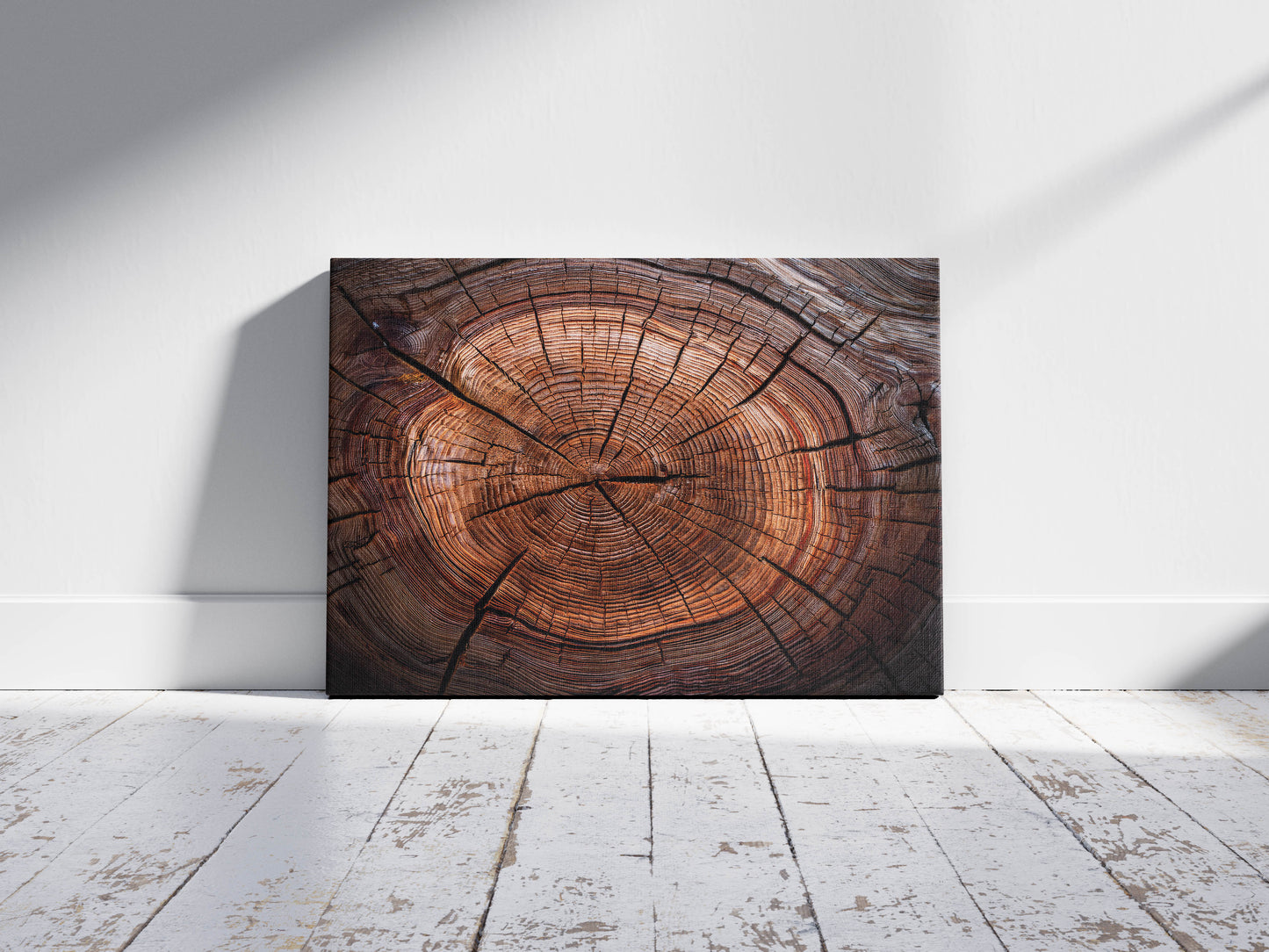 Timber Tales- Time Traveler's Tree