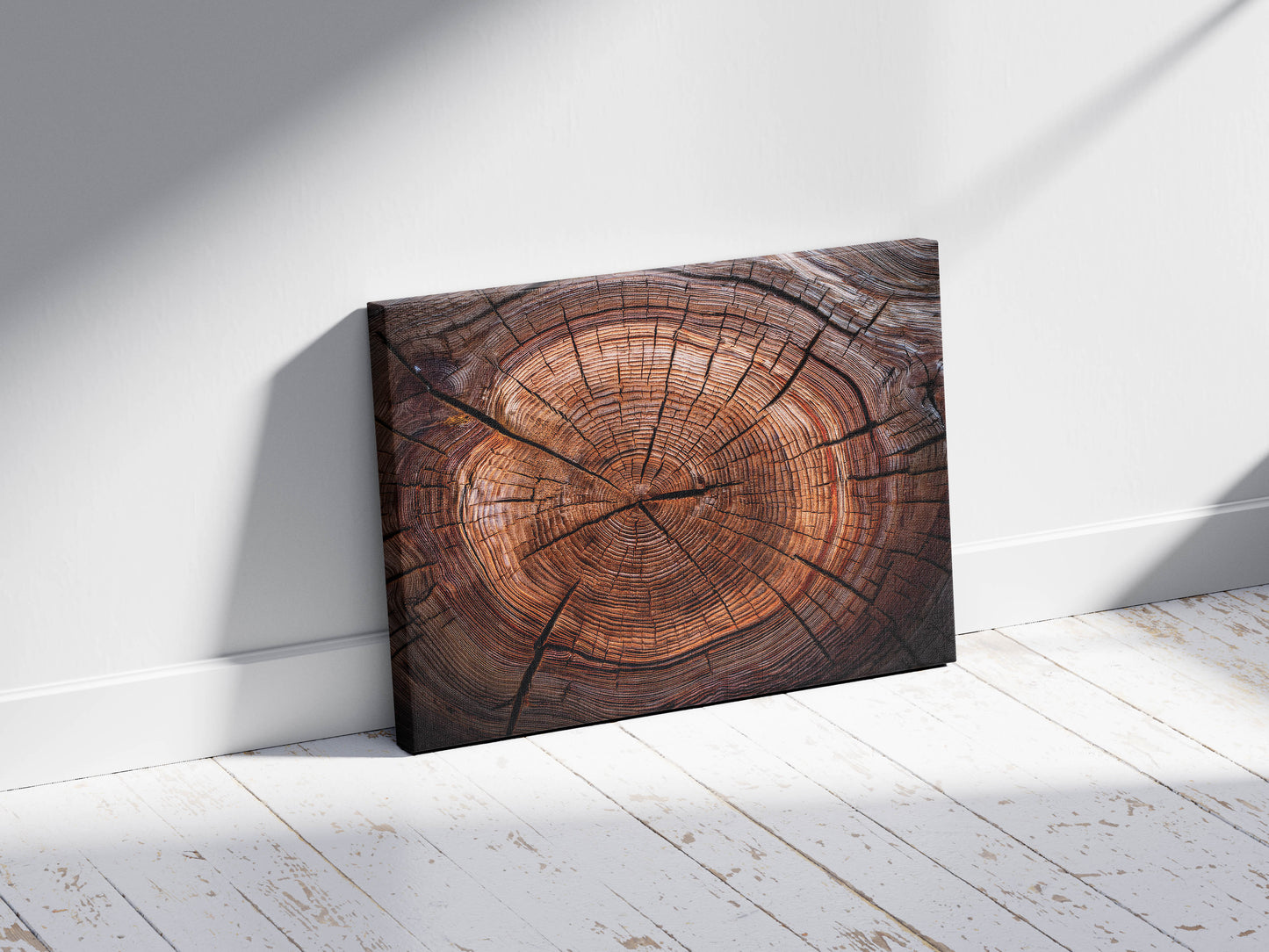 Timber Tales- Time Traveler's Tree