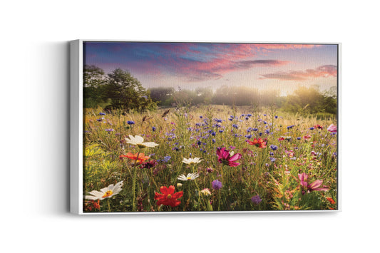 Whimsical Meadows- Sunset Meadow Blossoms