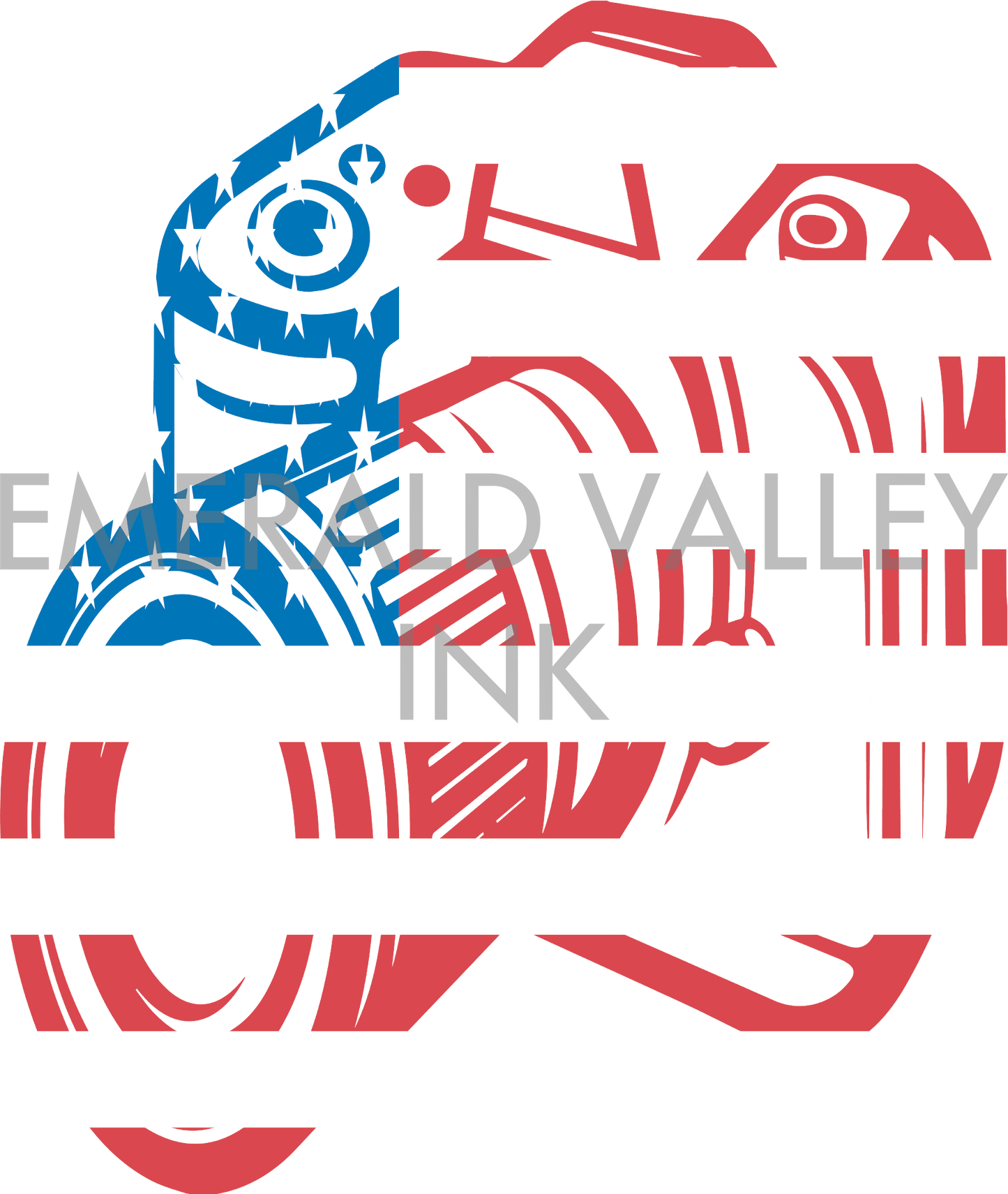 American Flag Camera