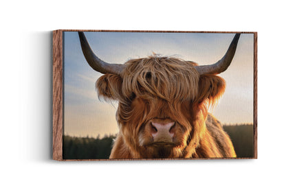 Wool & Wild – Cow of the Highlands: Hairy Cow Print - Rustic Farmhouse Decor