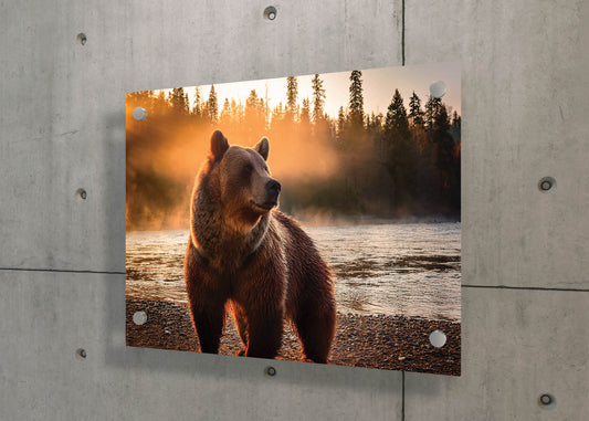 Golden Strength – Bear in the Wild: Bear Portrait Art - Wild Animal Print