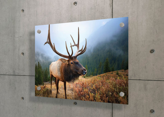 Silent Strength – Nature’s Monarch: Forest Elk Art - Scenic Animal Wall Hanging