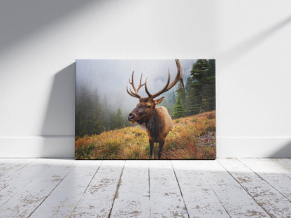 Antler Majesty – Misty Morning Elk: Cascade Elk Art - Mountain Animal Print