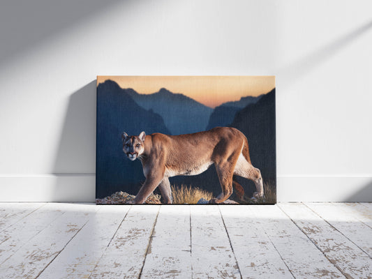 Shadow Stalker – Mountain Ghost: Mountain Lion Art - Solitary Cat Animal