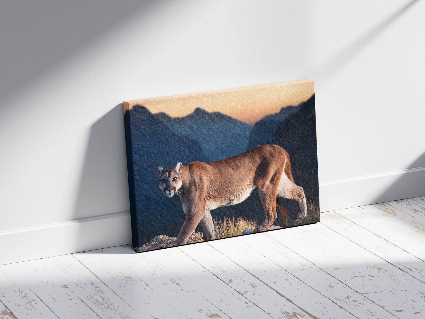 Shadow Stalker – Mountain Ghost: Mountain Lion Art - Solitary Cat Animal