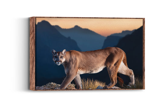 Shadow Stalker – Mountain Ghost: Mountain Lion Art - Solitary Cat Animal