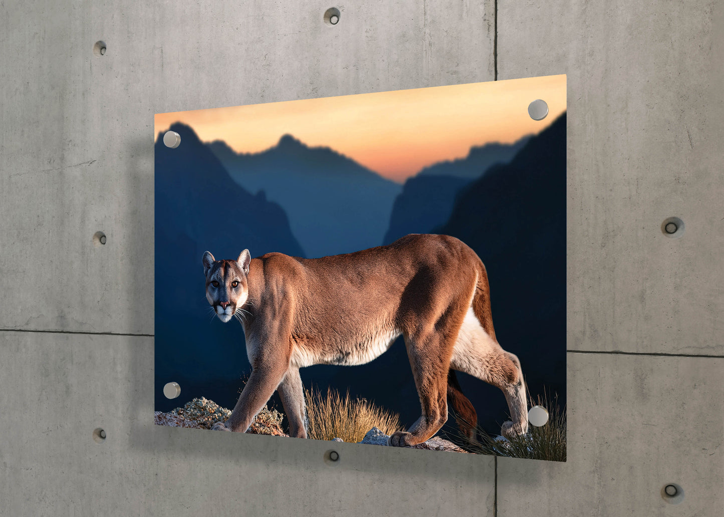 Shadow Stalker – Mountain Ghost: Mountain Lion Art - Solitary Cat Animal