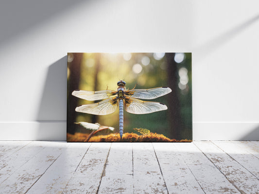 Glintwing – Dragonfly Dreams: